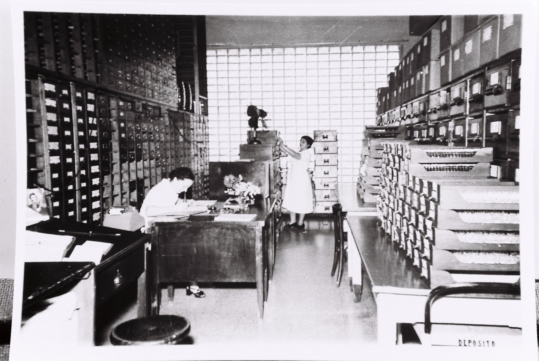Schering - fabricación Cnel Díaz
