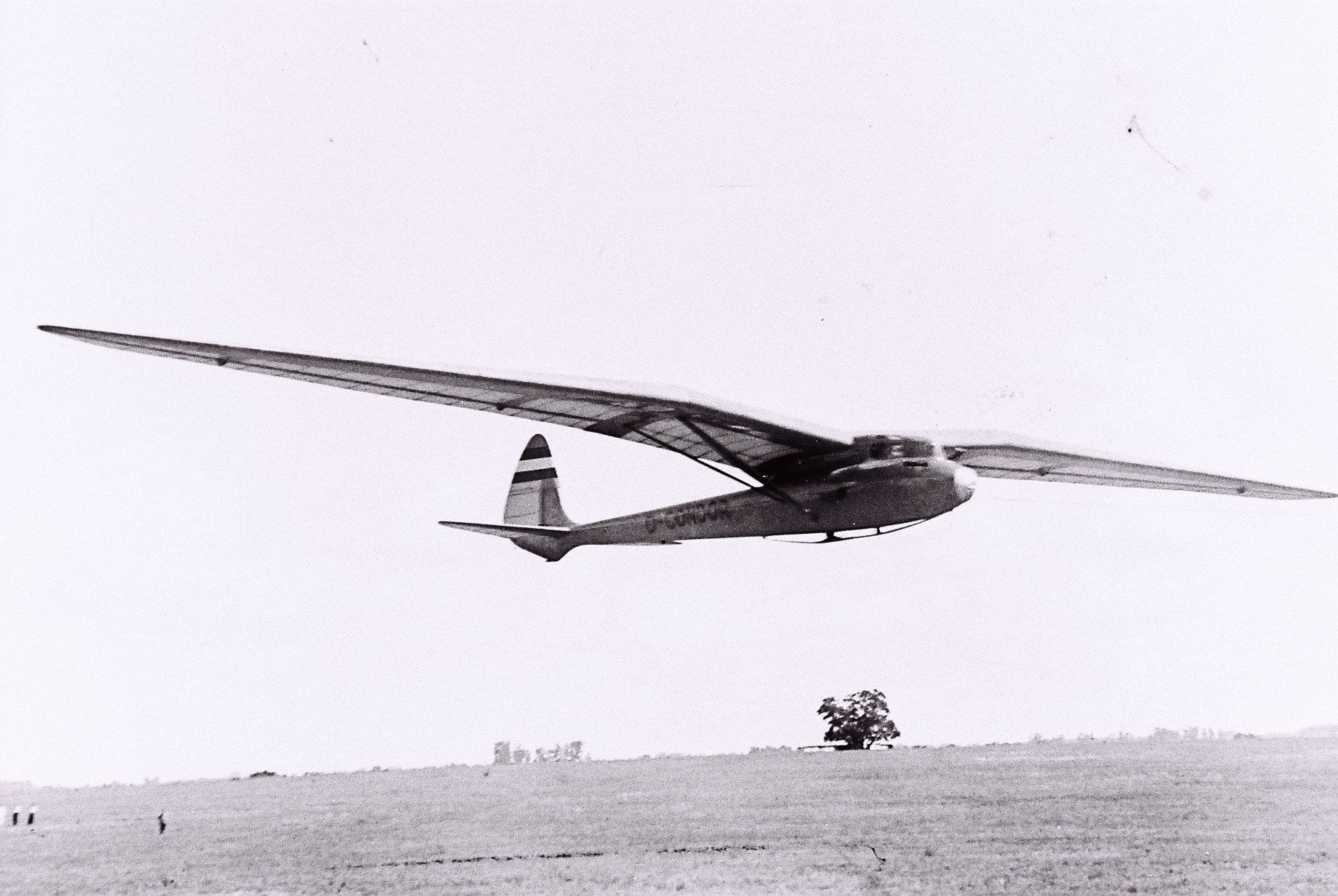 Planeador Cóndor